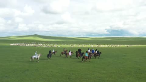 group of people riding horses