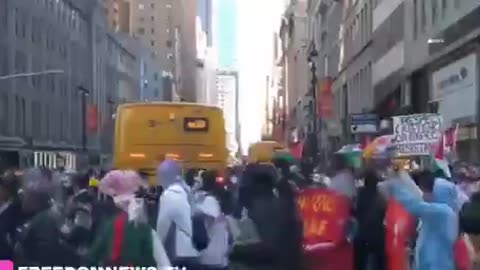 Pro-Palestine Protestors Clash With Police | 🚨 New York