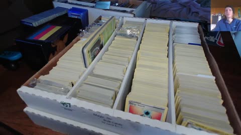 Pokemon TCG Series: Ep. 48 - A Bulk Lot of Cards, Auction Lot #2