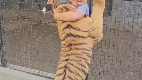 Naughty Kid Playing and Hug with Bengal Tiger | Nouman Hassan |