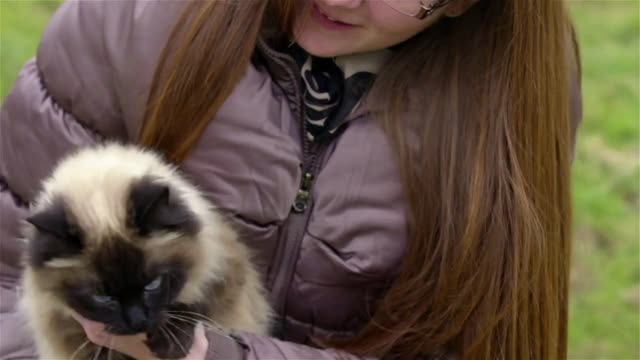 Woman holding big cat in hands. Cat with silky coat and black head in female person hands outside