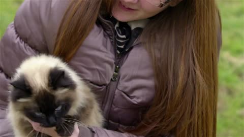 Woman holding big cat in hands. Cat with silky coat and black head in female person hands outside