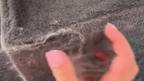 For all animal lovers!!! 🥰🐱