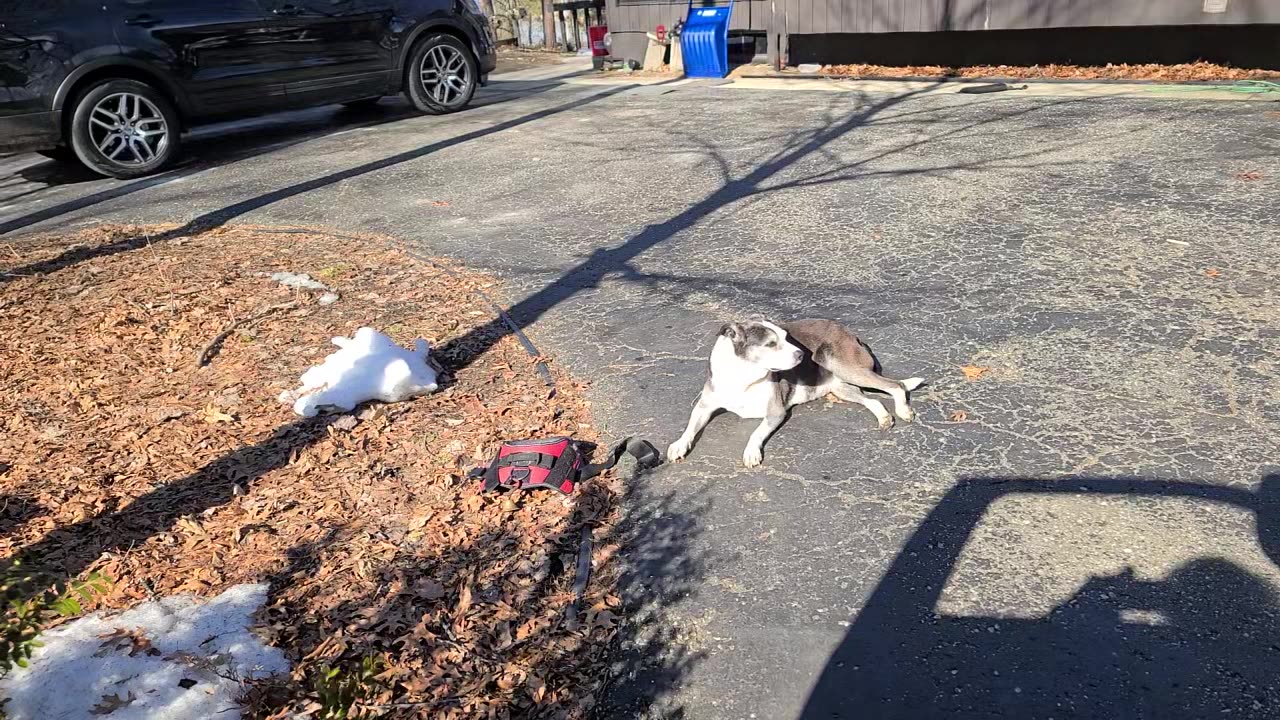 Historic US Speech in a Generation! @SteveBanon #Warroom