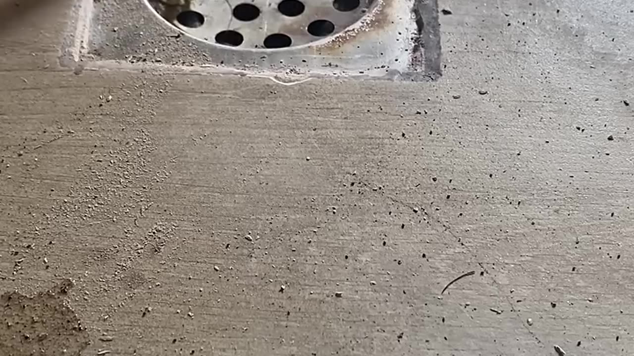 Stray Kitten Rescued From Drain Pipe -- ViralHog