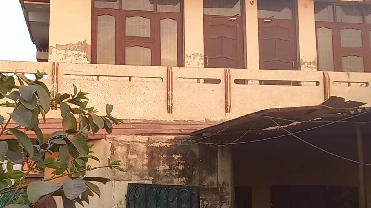 US VIDEO VIRAL VIDEO