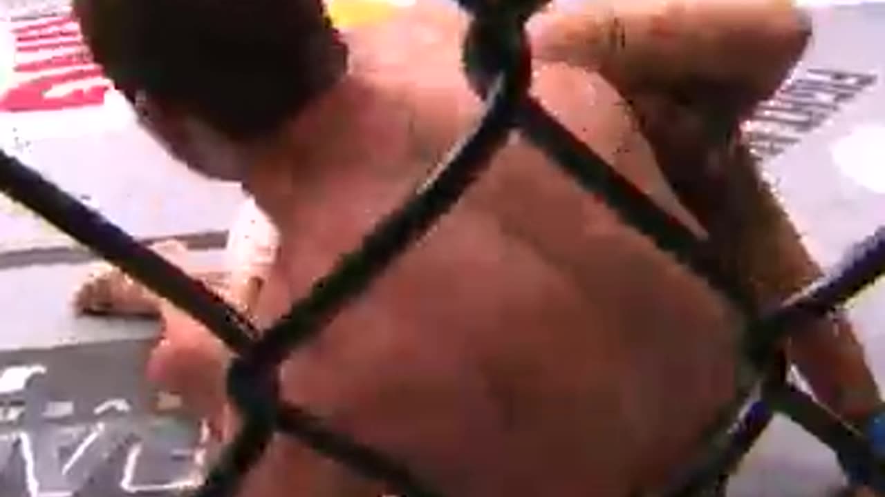 Free Fight : Diego Sanchez and Clay Guidaš„