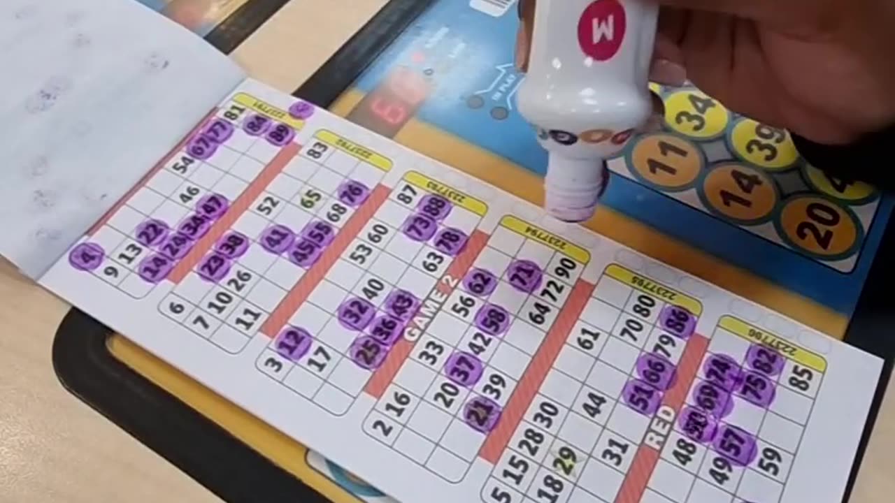 BINGO Session 5 | MsScratch&Dab