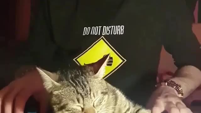 crack in everything