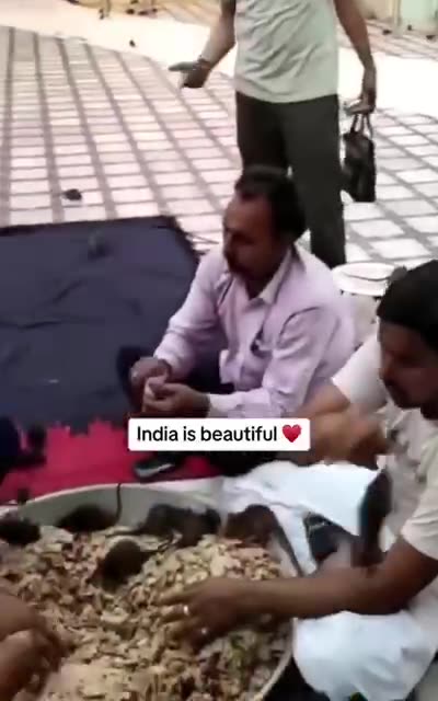 Little India food pop-ups look great!