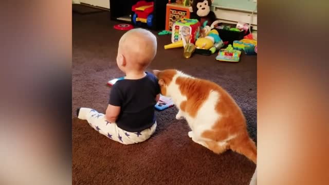 Children and kittens get up close and personal