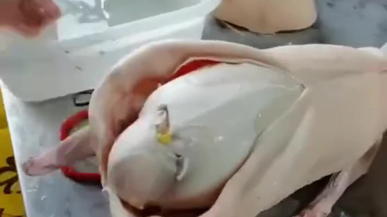 what is it?