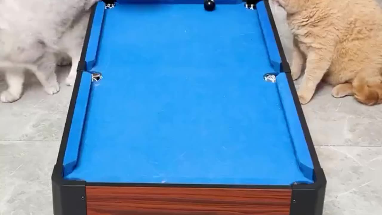 Master of year