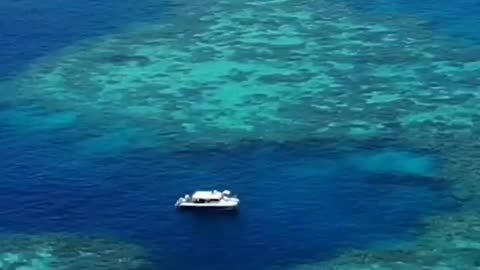 visit the great barrier reef