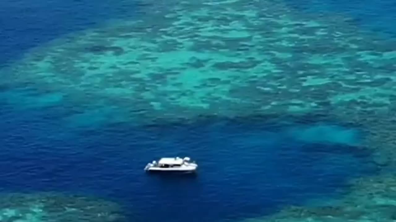 visit the great barrier reef