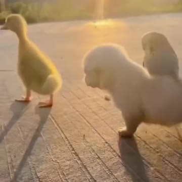 How on earth does this magic happen 🤣