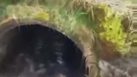 Hero Saves The Day...