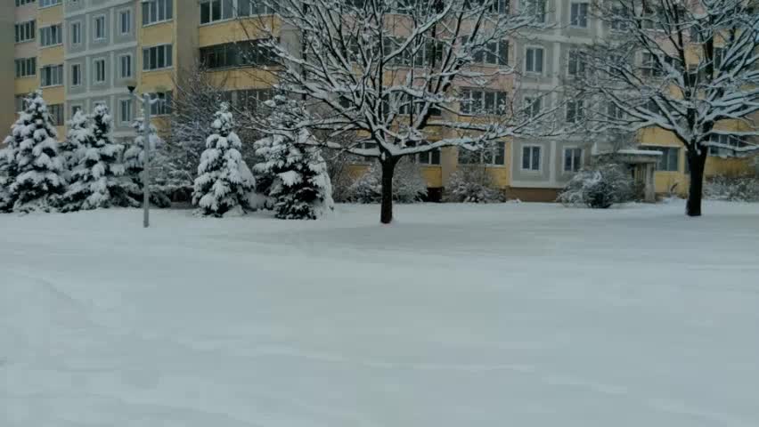 Lovely russian winter