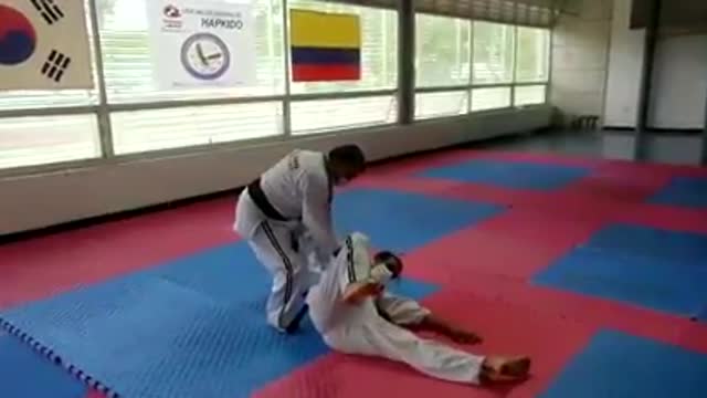 Hapkido