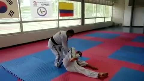 Hapkido