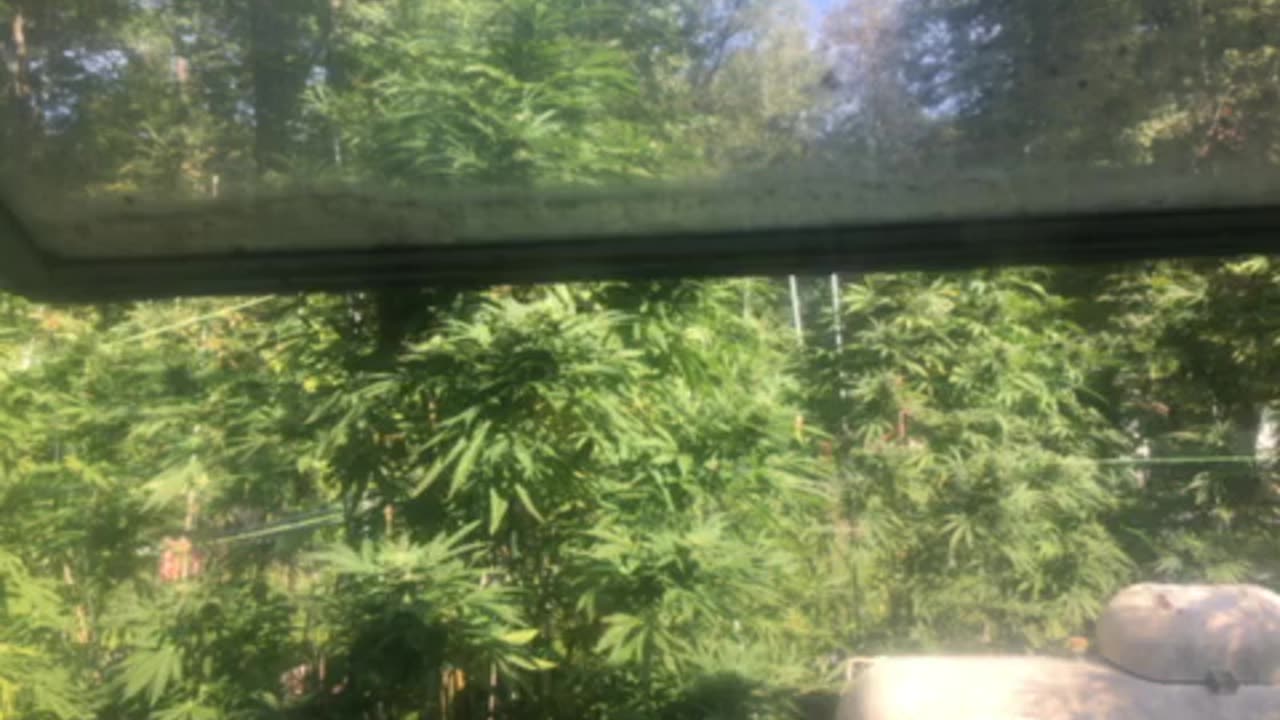 Today: this is what you get with democrats in charge Derek Hunter Rumble p 2