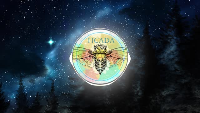VÌ MẸ ANH BẮT CHIA TAY (TICADA REMIX)