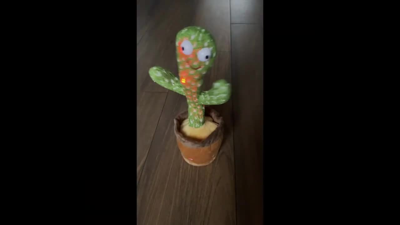 Cat vs Dancing 🌵