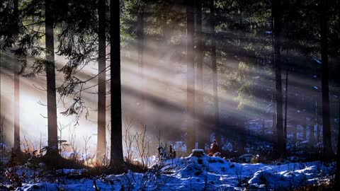Relaxing music, Deep sleeping music, stress relief music,meditation music,piano music,