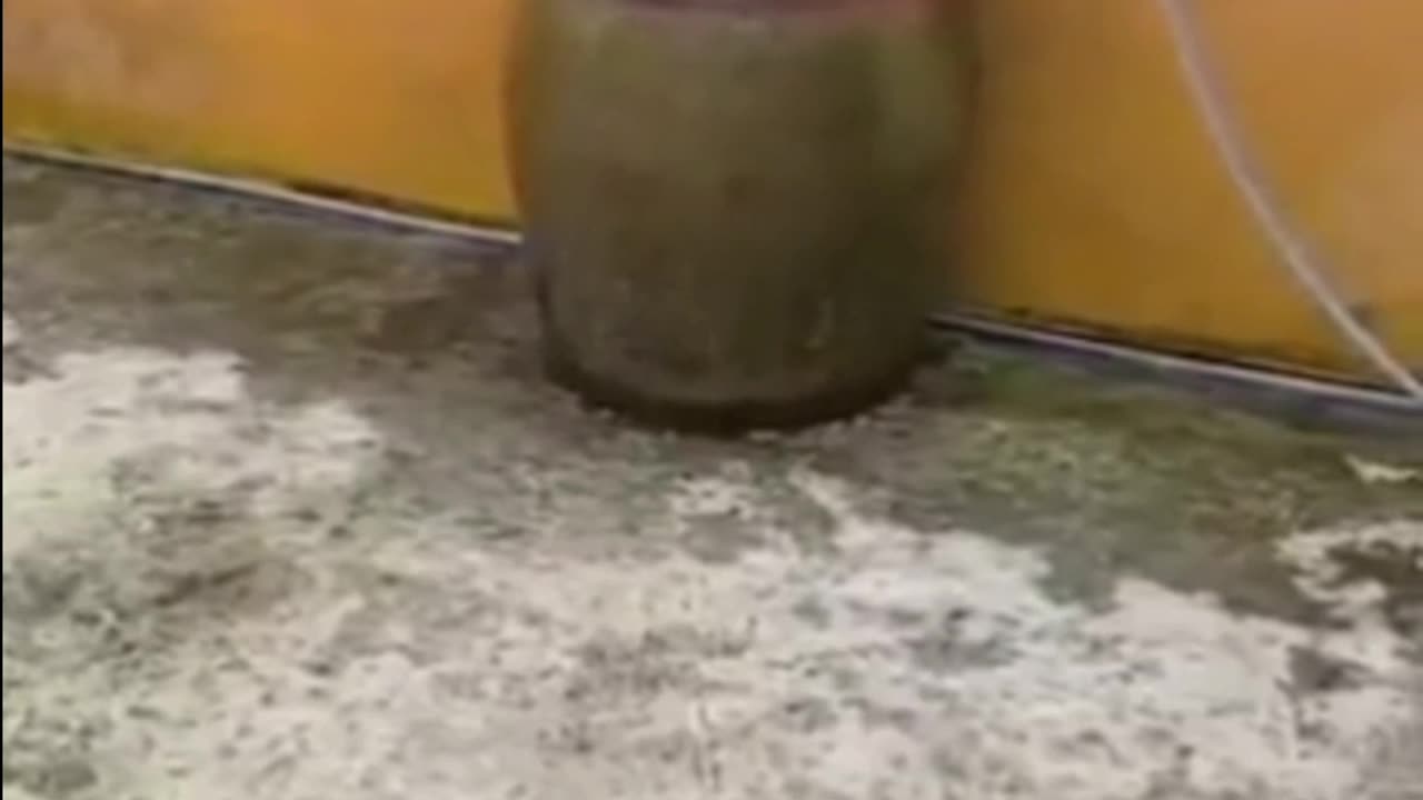 Bau