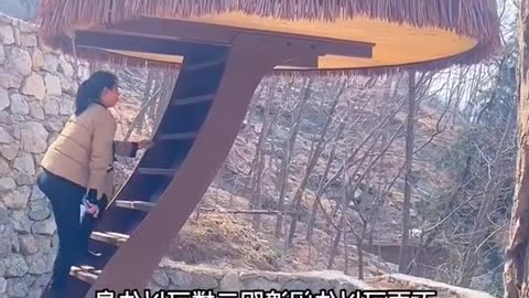 Dl Panda Viral Videos On Internet