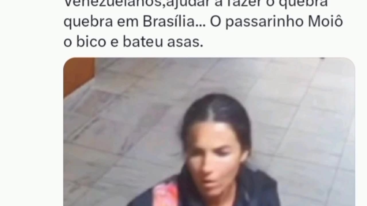 Cavalo velho - Brasília 8/1/23