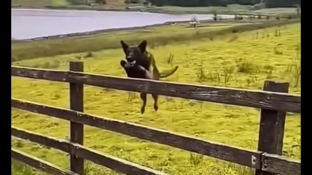 Did you laugh?