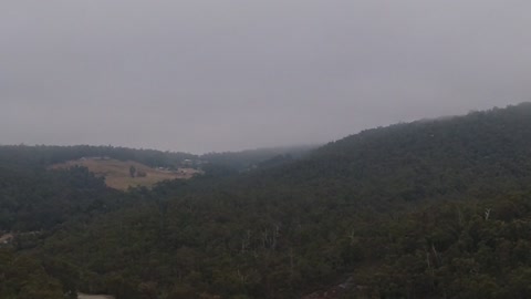 Misty Sounds Of Nature