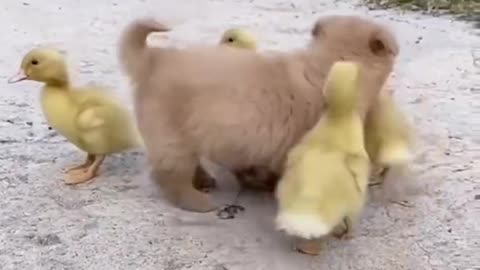 Put a ❤️ if you think cute🥰