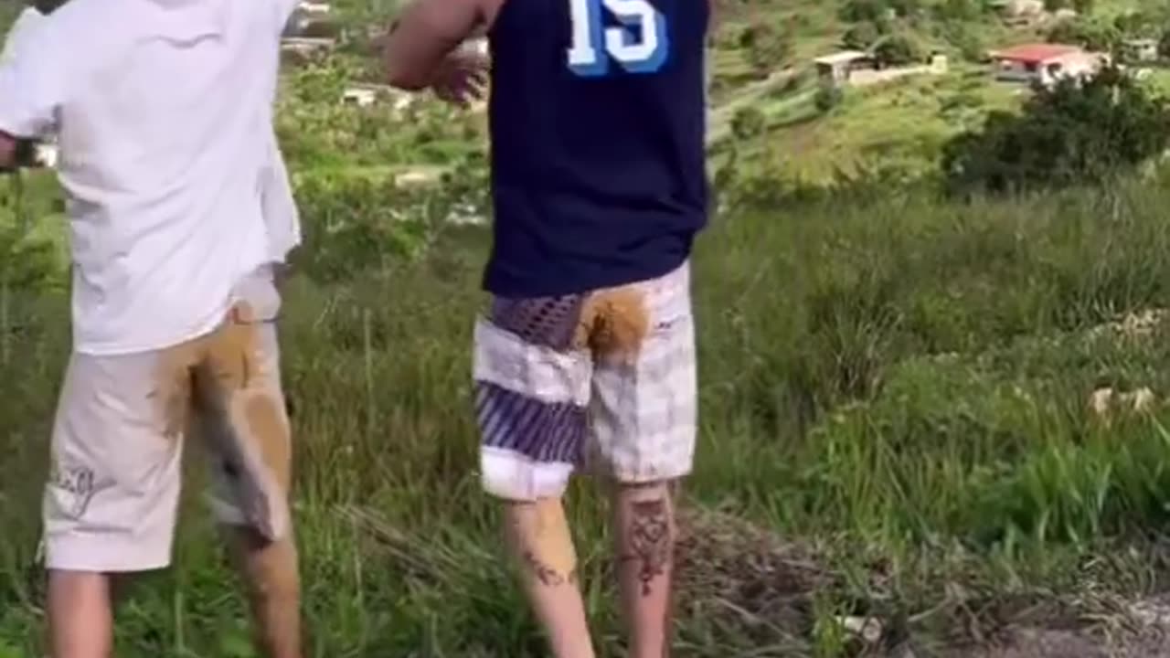 Funny videos