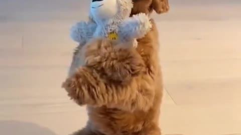 🧸🥺