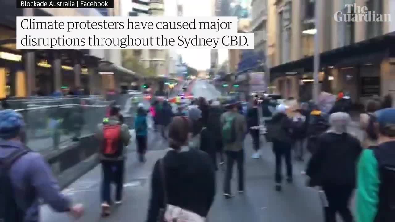 Blockade Australia protest: 11 activists arrested as car rams into protesters in Sydney CBD