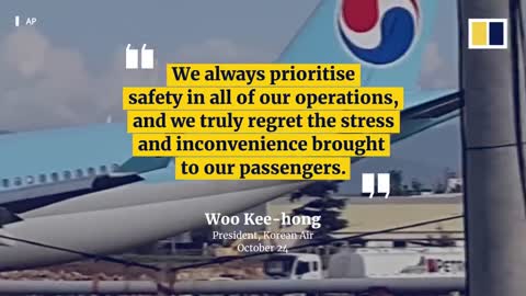 Korean Air plane with 173 on board damaged after overshooting runway in Philippines