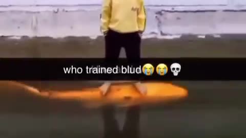 Kid Riding Fish