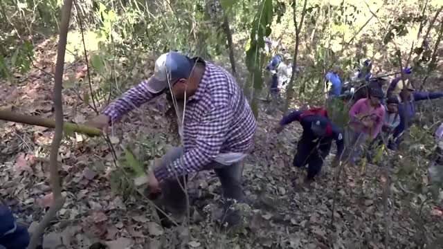 Wildfire destroys over 1,730 acres in south Bolivia