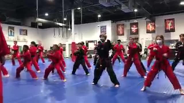 Taekwondo