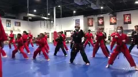 Taekwondo