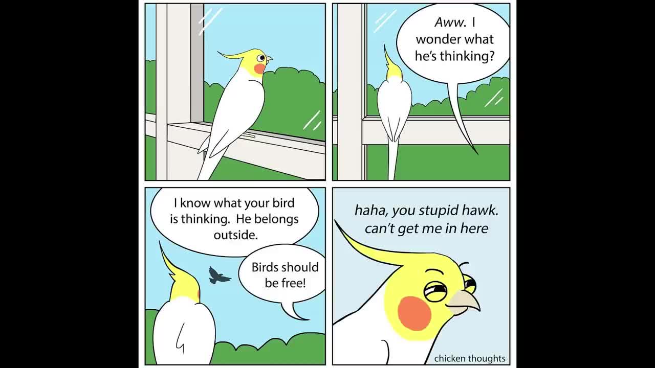 Funny Comics With A Parrot Twist