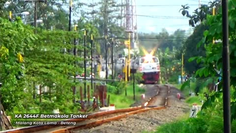 train hunting in the Sidoarjo//Indonesia temple area#rumble