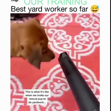 WE CAN ALL LINK UP AT THIS LINK http://bit.ly/countyourblessu