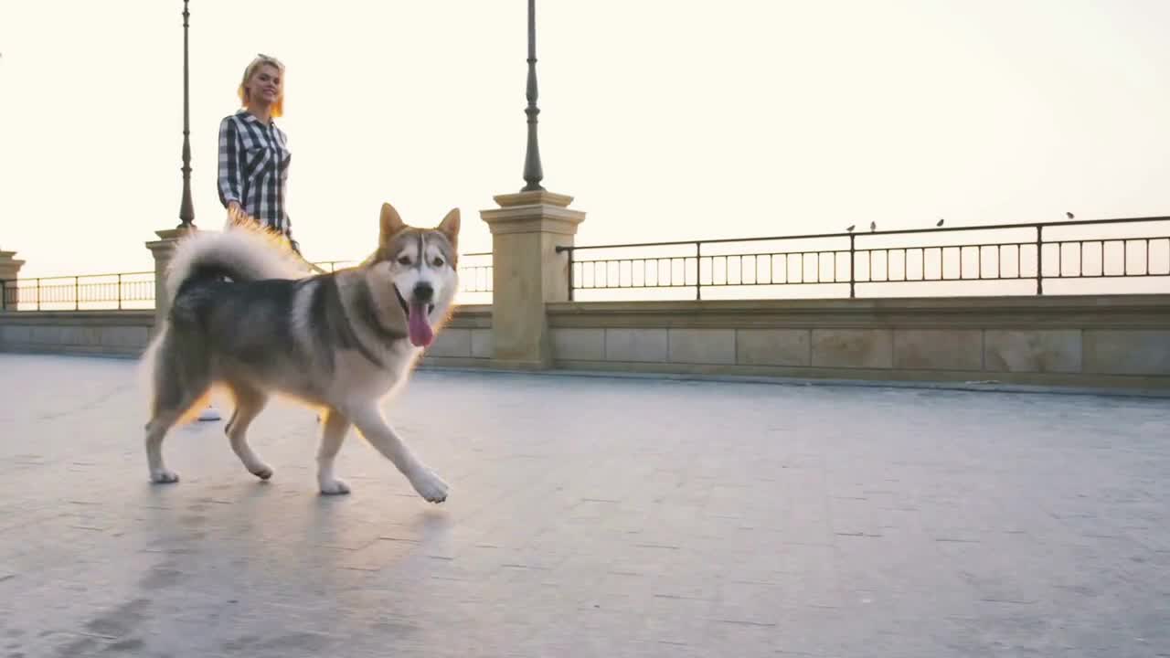 Young female walking with siberian husky dog on sea front at sunrise