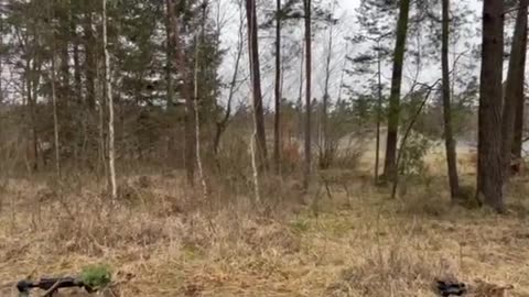 🌳Ukrainian servicemen are mastering camouflage as part of exercises abroad.