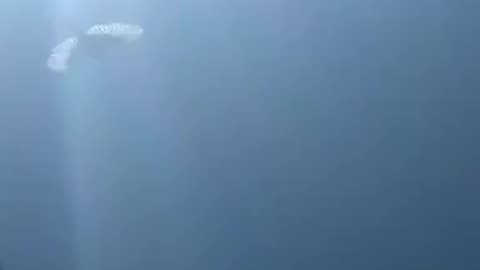 Could this be a Fallen Angel?