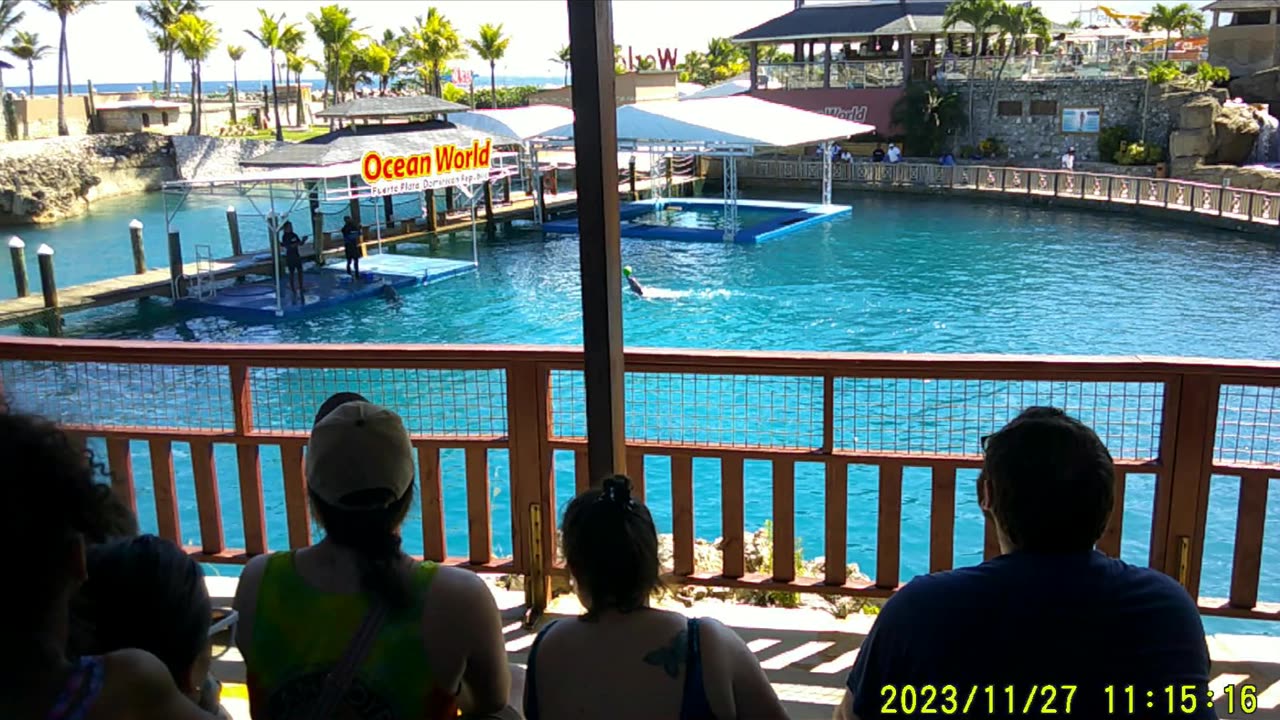 Ocean World in Dominican Republic, 1080p