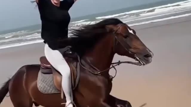 Horse riding lover